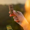 Barre énergétique salée bio Meltonic - Miel, pistaches, fleur de sel de Guérande
