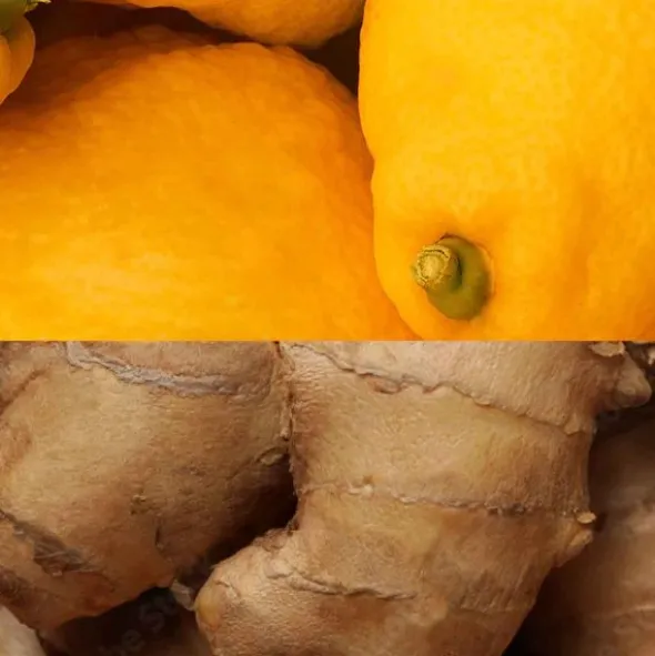 Barre énergétique Veloforte Zenzero - Citron, Gingembre et pistaches