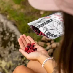 Fruits des bois - Fruits lyophilisés