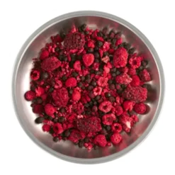Fruits des bois - Fruits lyophilisés