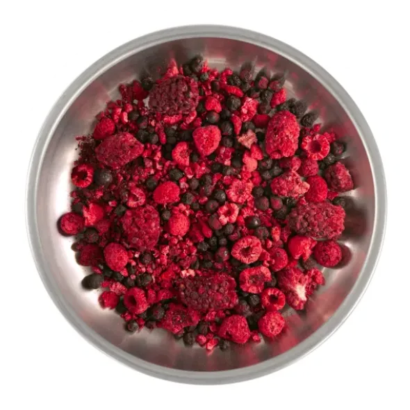 Fruits des bois - Fruits lyophilisés
