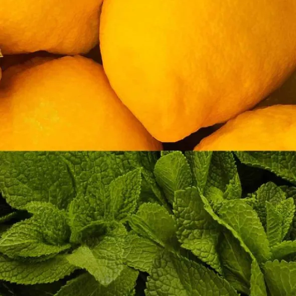 Gommes énergétiques Veloforte Fresco - Citron, menthe fraîche