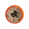 Porridge aux myrtilles