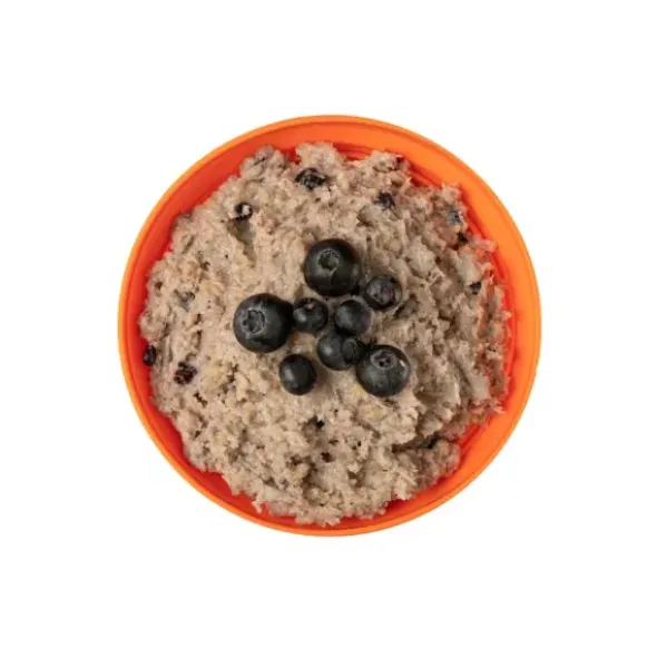 Porridge aux myrtilles - Grand format