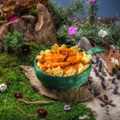 Poulet à la crème avec des pâtes - Enfant
