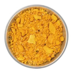 Poulet tikka masala