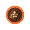Pudding au biscuit et aux pépites de chocolat