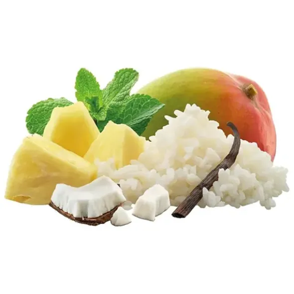 Riz au lait aux fruits tropicaux